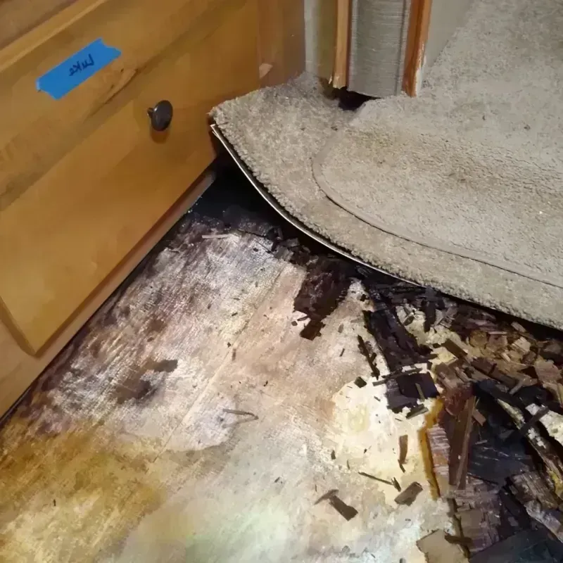 Wood Floor Water Damage in Walsh County, ND